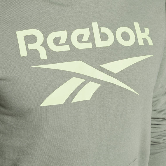 Reebok Identity Big Logo Hoodie