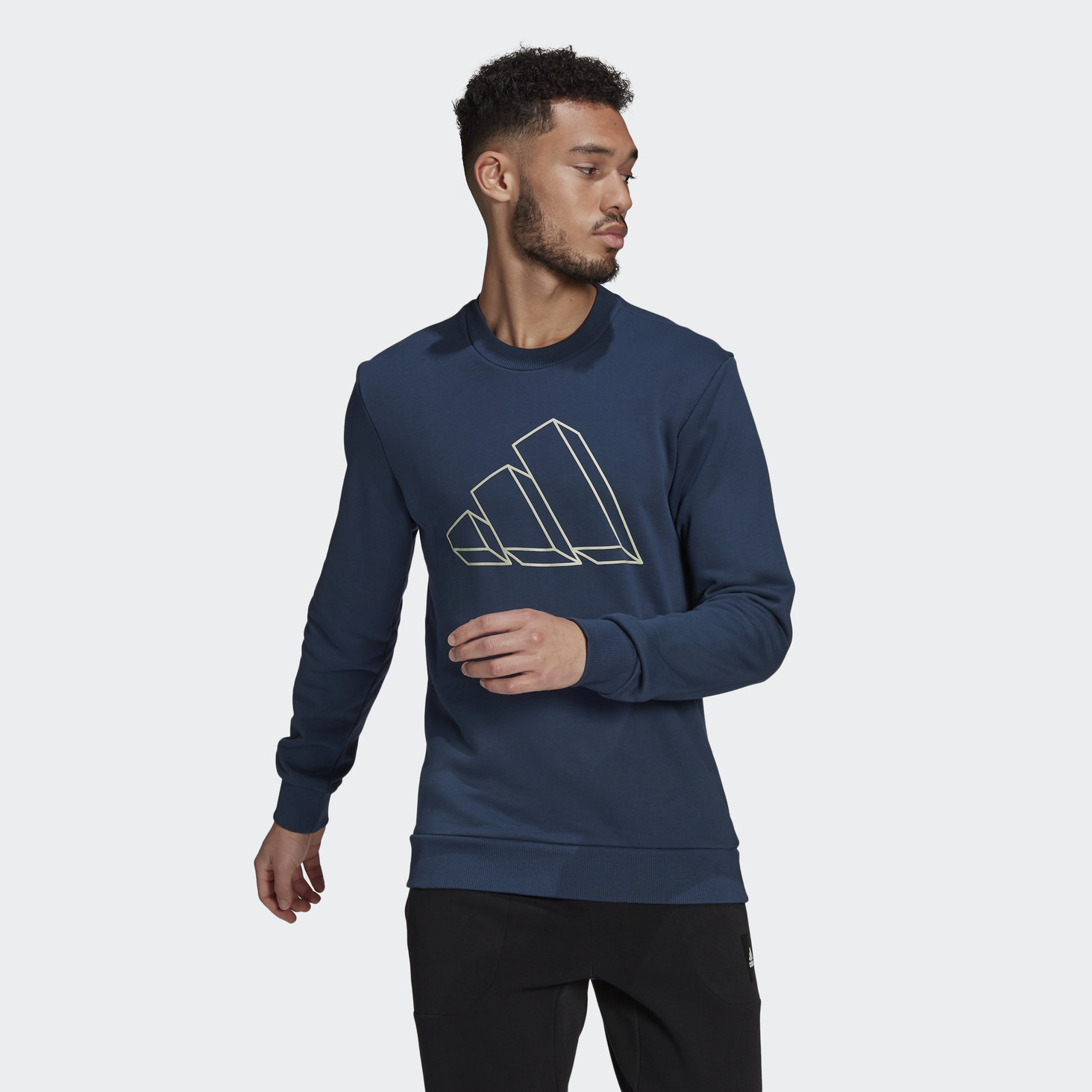 adidas Sportswear Graphic Crew Sweatshirt