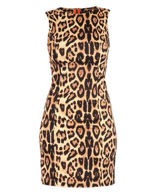 G Couture Leopard Print Dress Multi | Zando